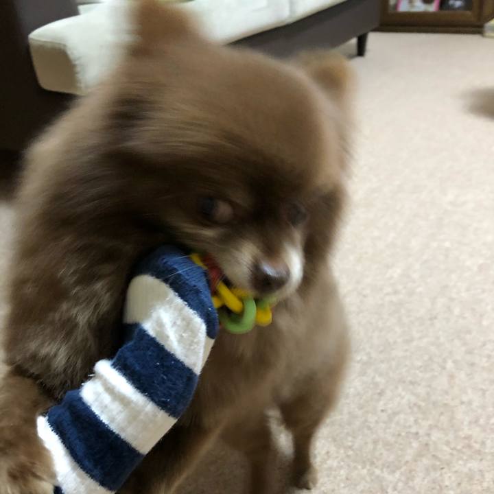 87a819ad 9997 4d58 a611 098b72dd90e7 1587904912501