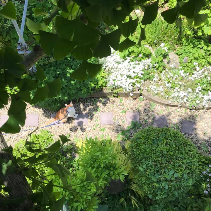 87a82a76 690d 457c abb5 0f58b4e62aca 1527221984578