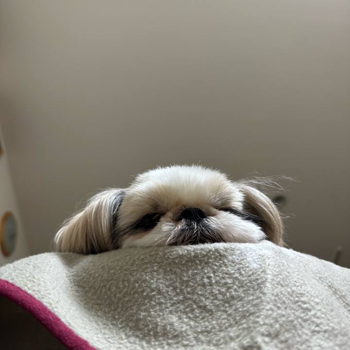 87a83187 ae8a 453e be03 ffe5a09d3174 1732445503592