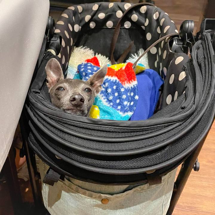 87a83ba9 0e54 417a 93b6 1917d929ba3d 1758186641028