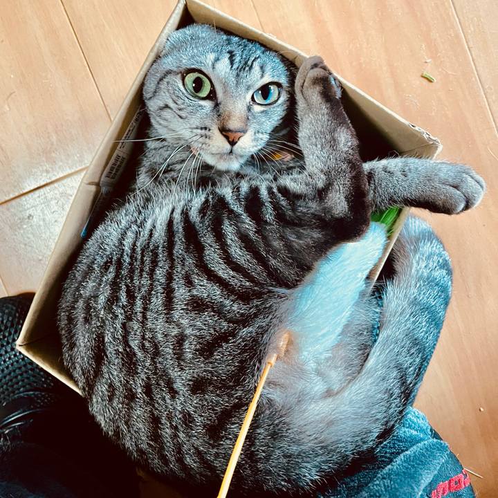 87a85f28 5f2d 4b35 ba82 027e3114f820 1774678024682