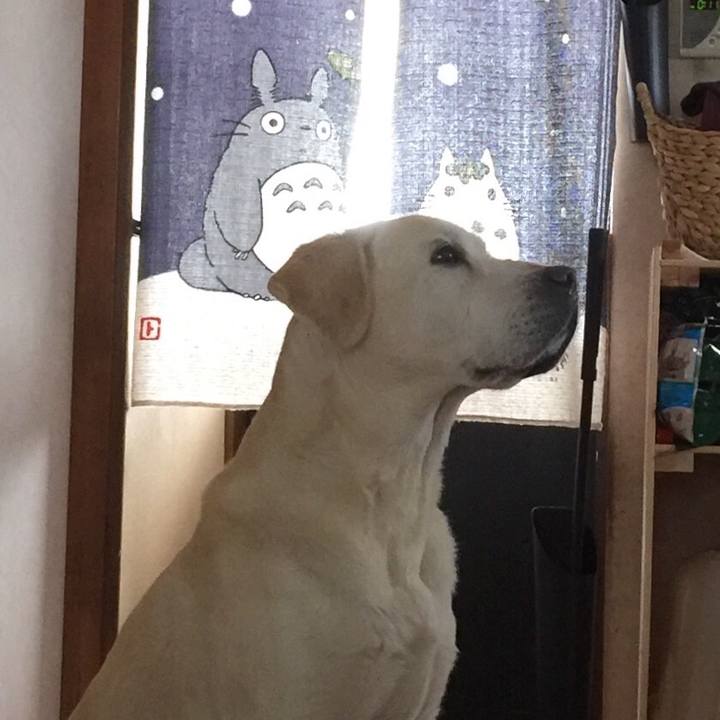 87a85f92 c67d 4622 bd82 b0e888c61d73 1547609045995