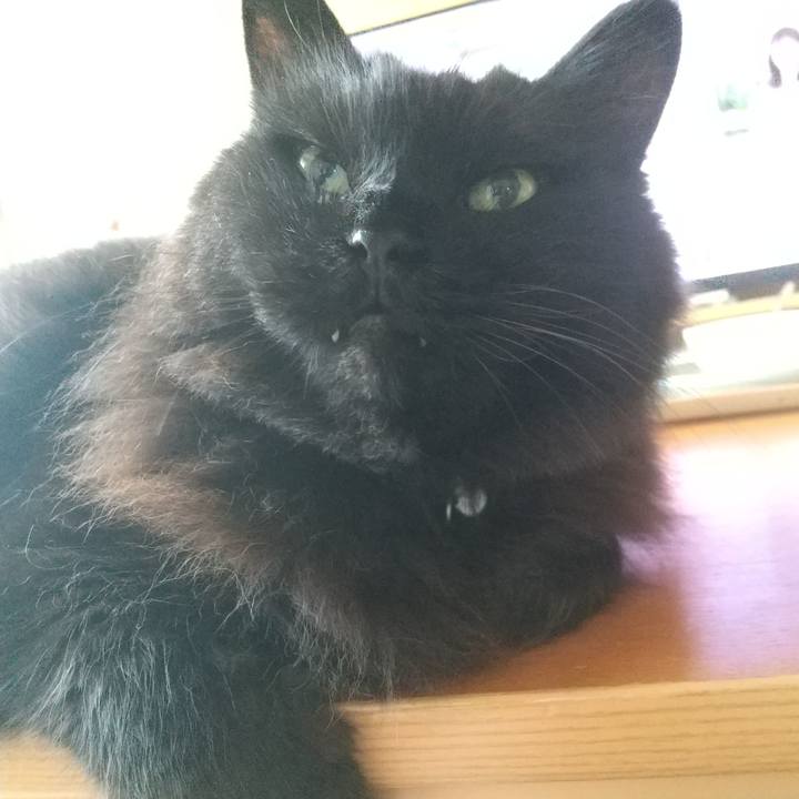 87a88129 0323 4a09 b292 079628d6e3f3 1624835310240