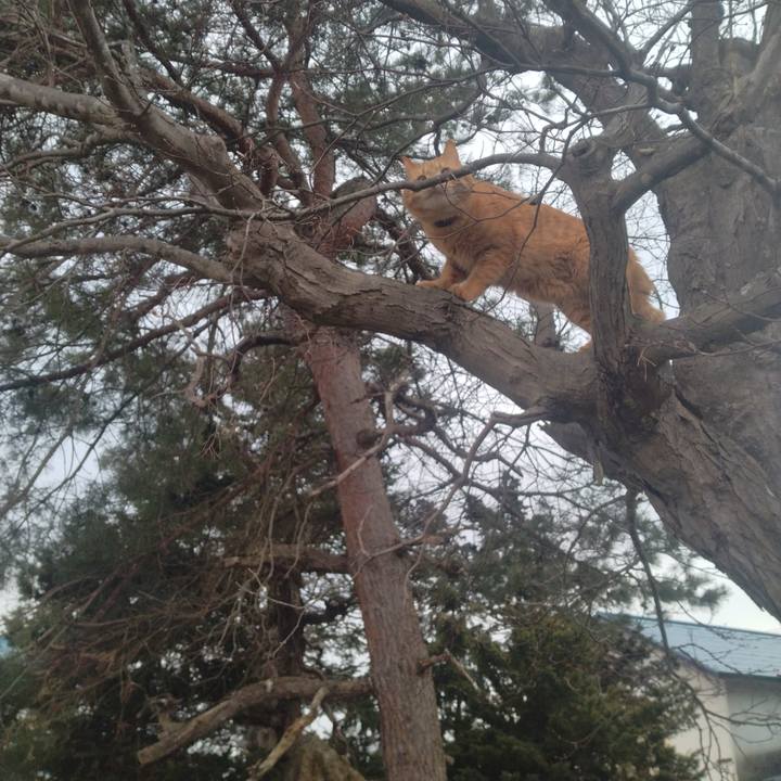 87a8a255 995b 433b 8764 cdf2fd22ca02 1711354189203