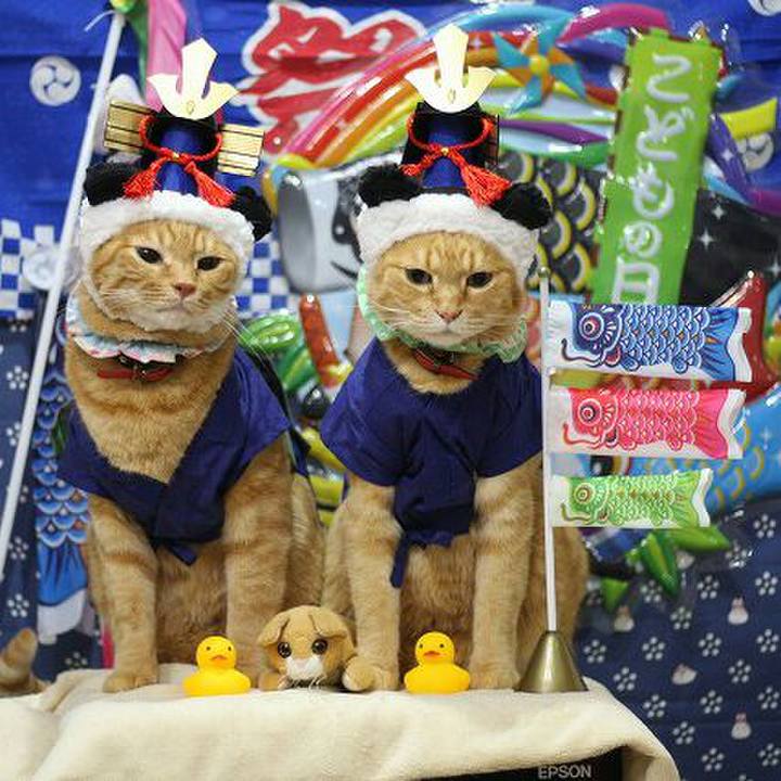 87a8beac 53ff 45d6 aa85 a29137201997 1524667340554