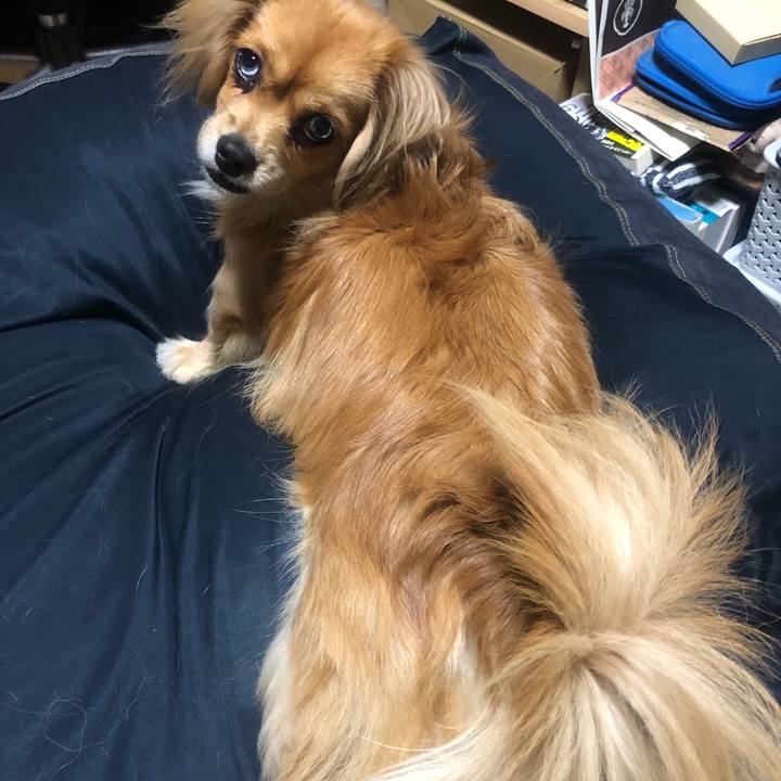 87a8ca00 b915 4d59 a42a e65c3c7b4d3e 1540589814124