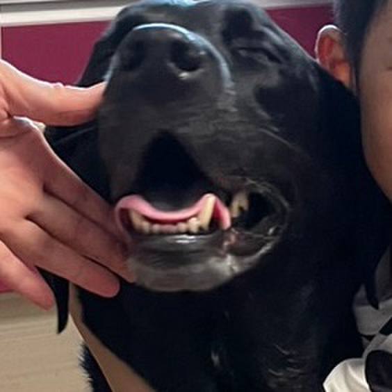 87a8e020 4827 48e4 903c 392ce67f51e3 1694819562800