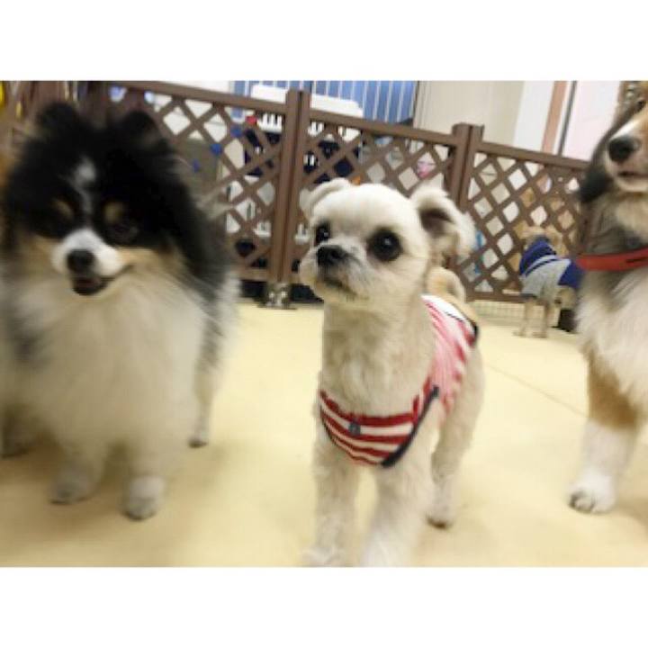 87a8fa01 ea8c 4982 9206 ac3f11220162 1550489113599