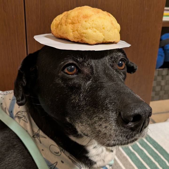 87a90d1b 8815 45f3 8d67 b88ee0cec4f0 1737581553538