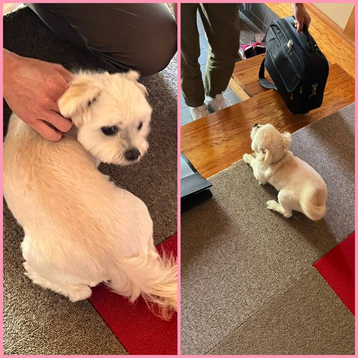 87a90ea4 7f82 4fea aa8e 95bdf6696ad8 1653363974430