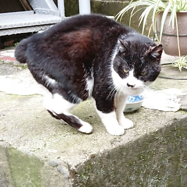 87a9155c 3c62 4ba4 8eb3 e48c44b9313f 1680479686582