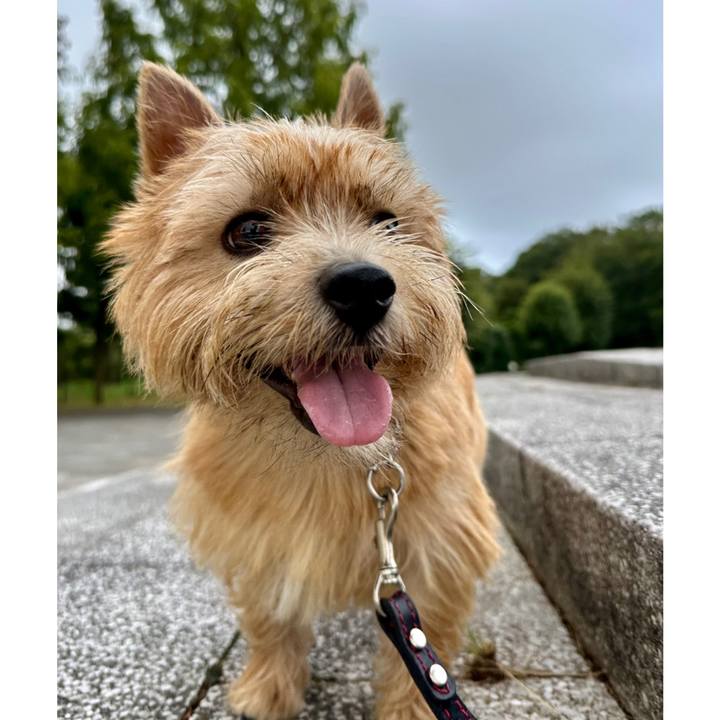 87a92146 5b4e 4bb0 a0c6 e9a3de0e8787 1757987183607