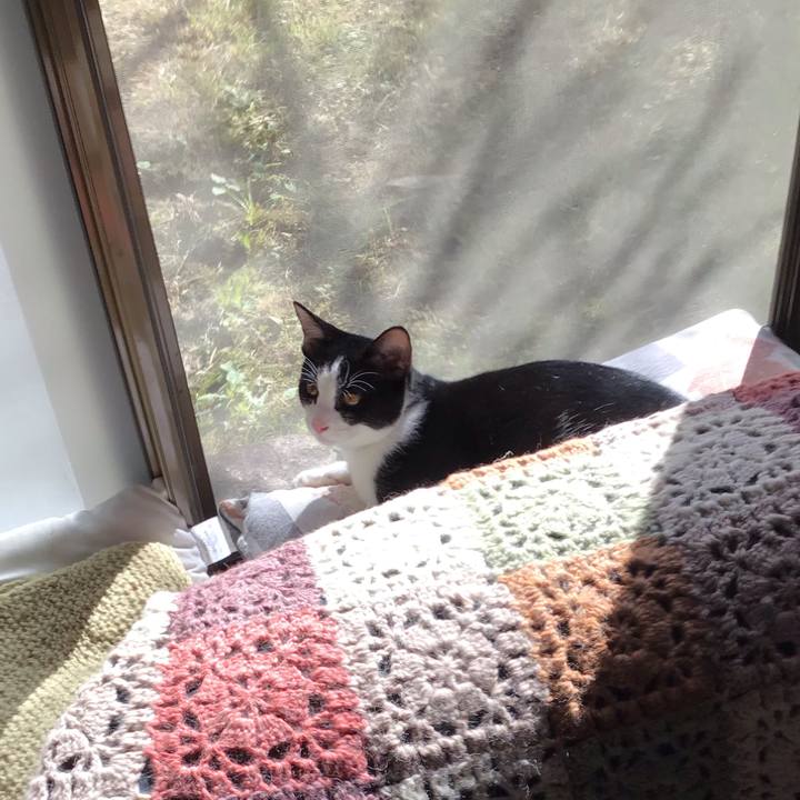 87a9219f 9079 4b53 939e d01f36150940 1632735419983