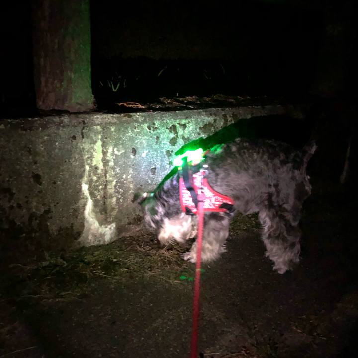 87a93e5a 304a 40ea a993 fbcca5f5b3b3 1565100265542