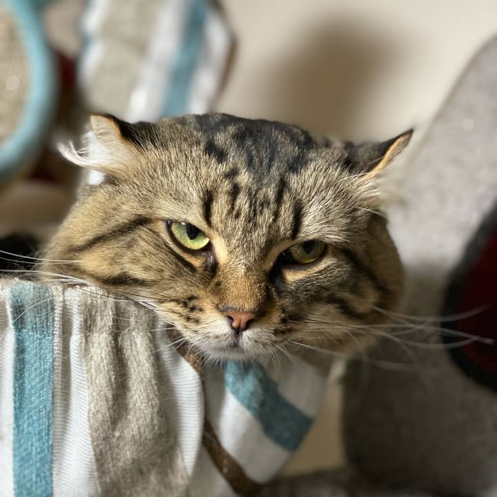 87a9429e b9a3 47db 8ea8 396cf3e4d1e0 1641420844900