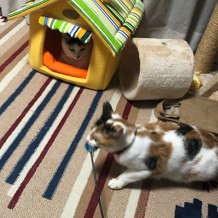 87a94db8 065b 44ad 90b1 2076668429e8 1582209081758