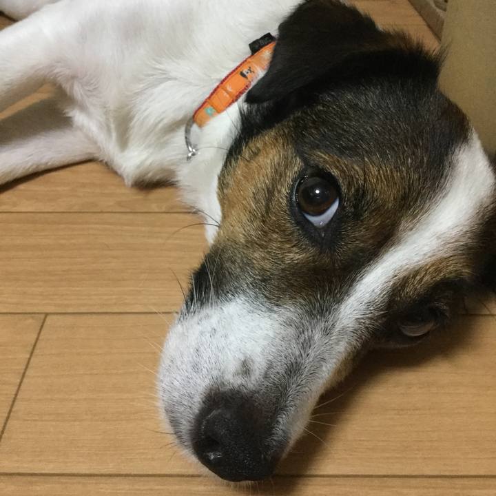 87a95b69 76c3 40ca 9392 9f33af6da310 1535374201256