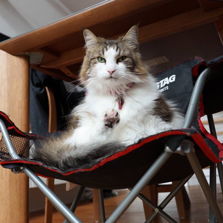 87a967fc 2290 4da1 8dda bd8952cbba53 1745488726685