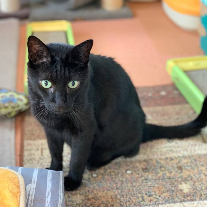 87a982c7 6b9c 4b52 bce6 780825ec686f 1598921652640