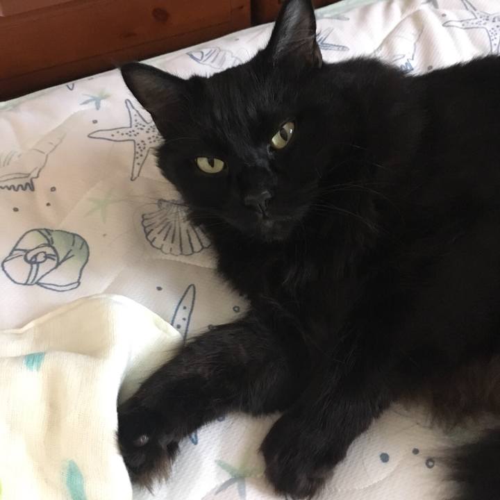 87a9c4a8 25bf 4ba5 b7fb e019d944a794 1539411232422