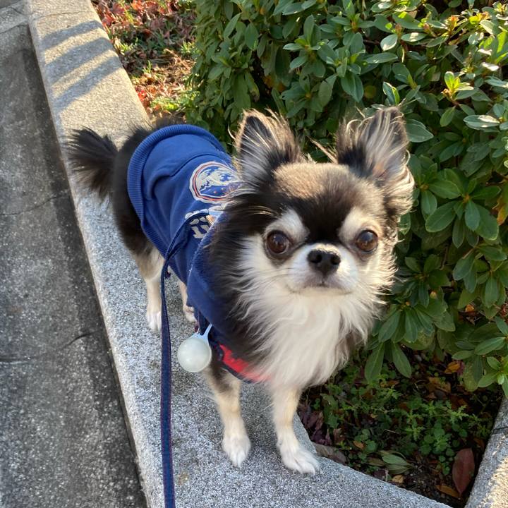 87a9d450 66ff 4c9b b65e 578a5b312d36 1703749987635