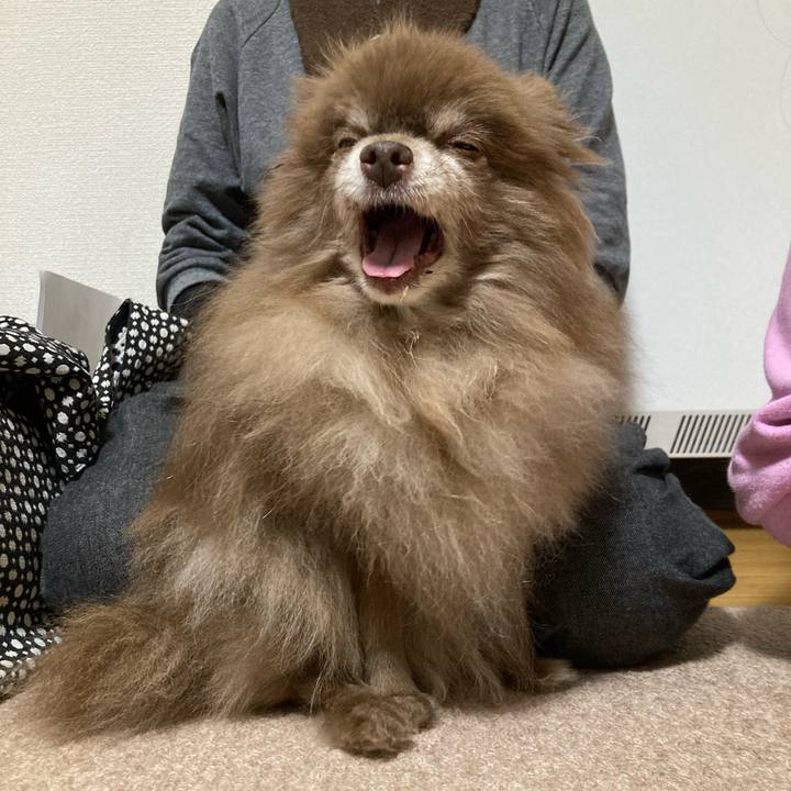 87a9ef76 9f44 4def b6bc 0d887058073a 1701929000211