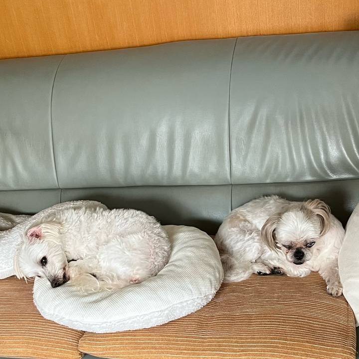 87aa7da4 4432 4cbd b9dc 307b0f532080 1720079987312