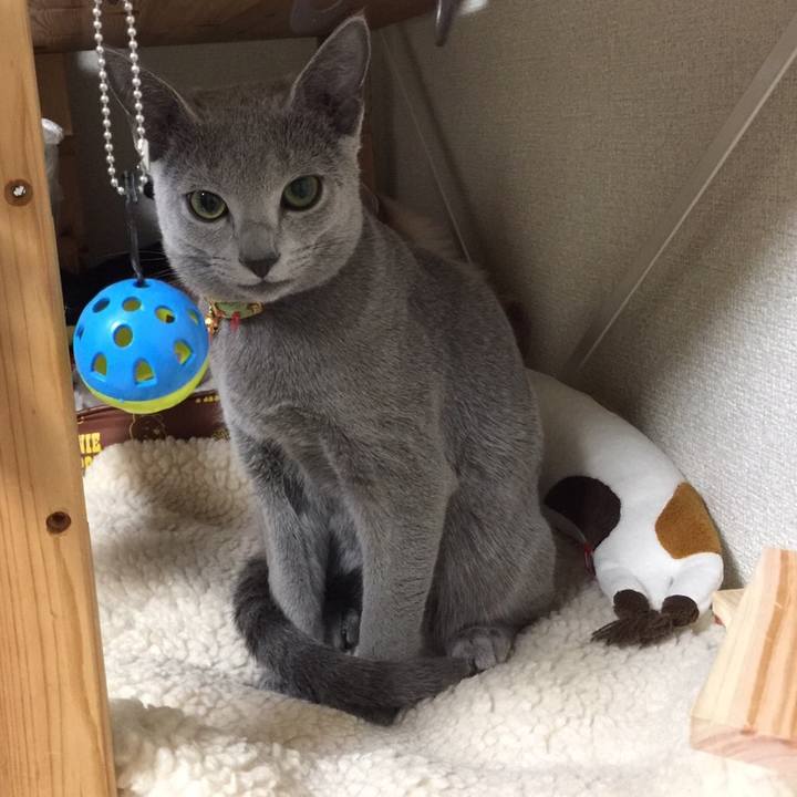 87aacb13 316e 4c12 bb8c 0329292c0c2c 1512139746755