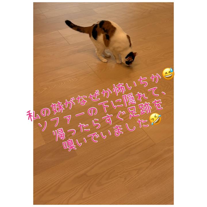 87aad552 843f 4b6a b3b5 0f0d89c09f79 1785401033125