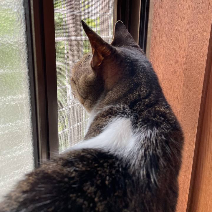 87ab01ec 9a87 44b1 8791 8499bd17773a 1624066858711