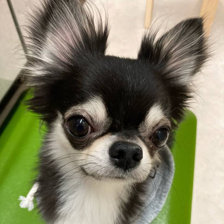 87ab244b fa80 40c5 812a 42c493ee45ce 1640525541179