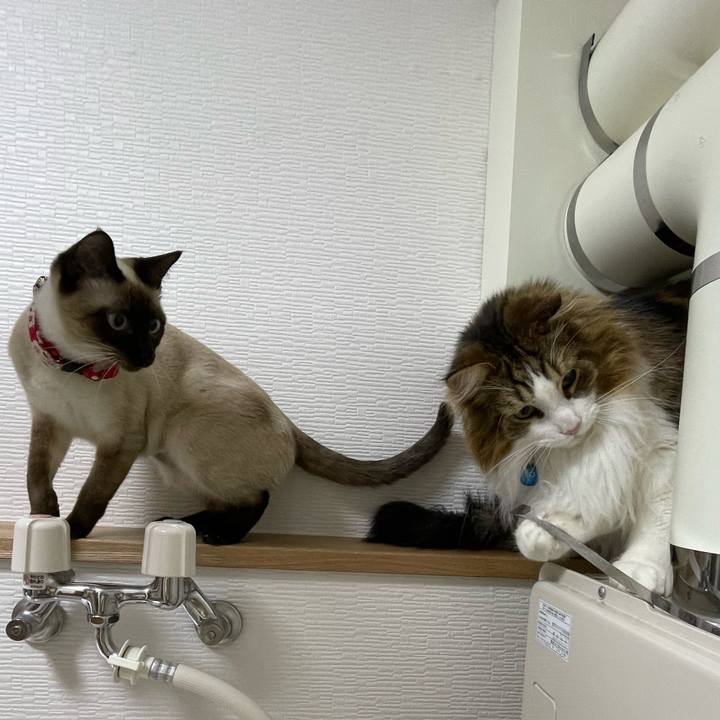 87ab7c9b 19b5 4f36 8cbe 147805c41aa4 1712086864077