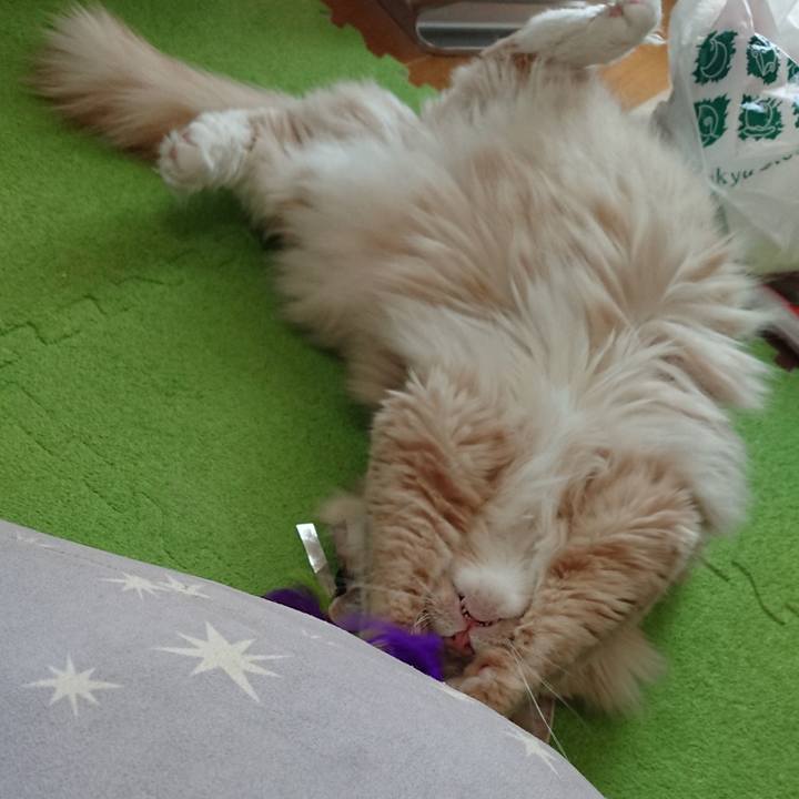 87abad5a 86f9 4eca a751 291c3f1c176c 1557546012753