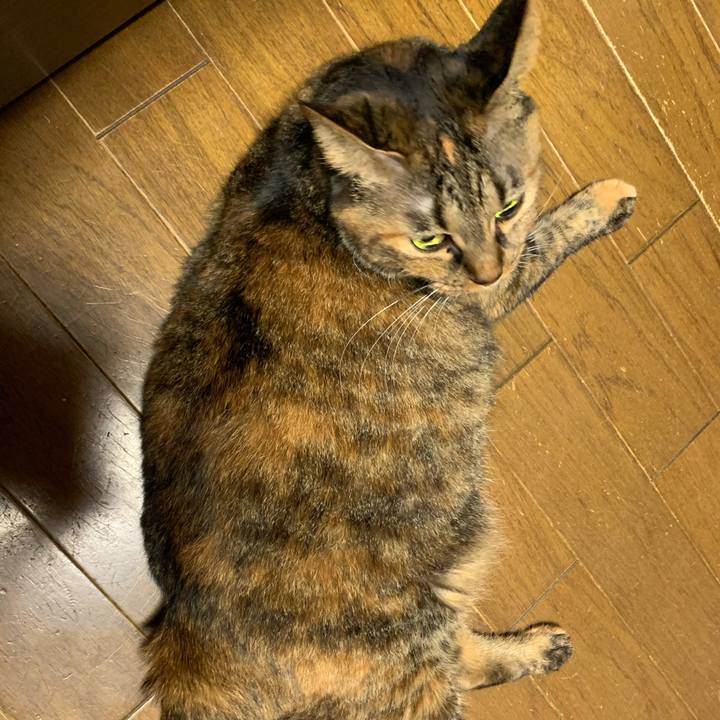 87abf3d8 e037 491a 8da8 5ec40d332f82 1607048206421