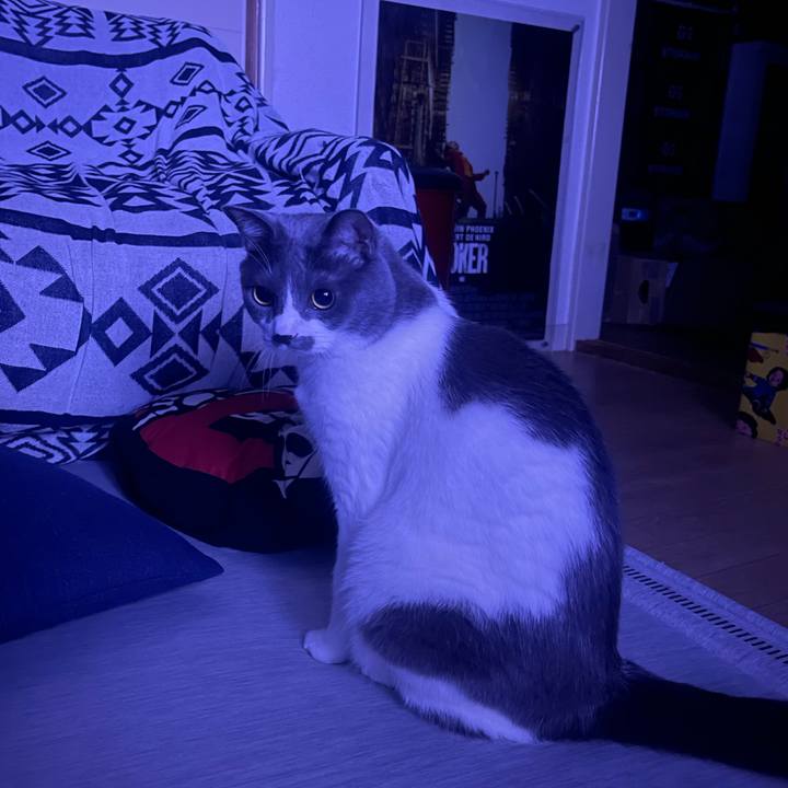 87ac1b70 461b 493f 8ace eff65f4e8ab2 1755183887605