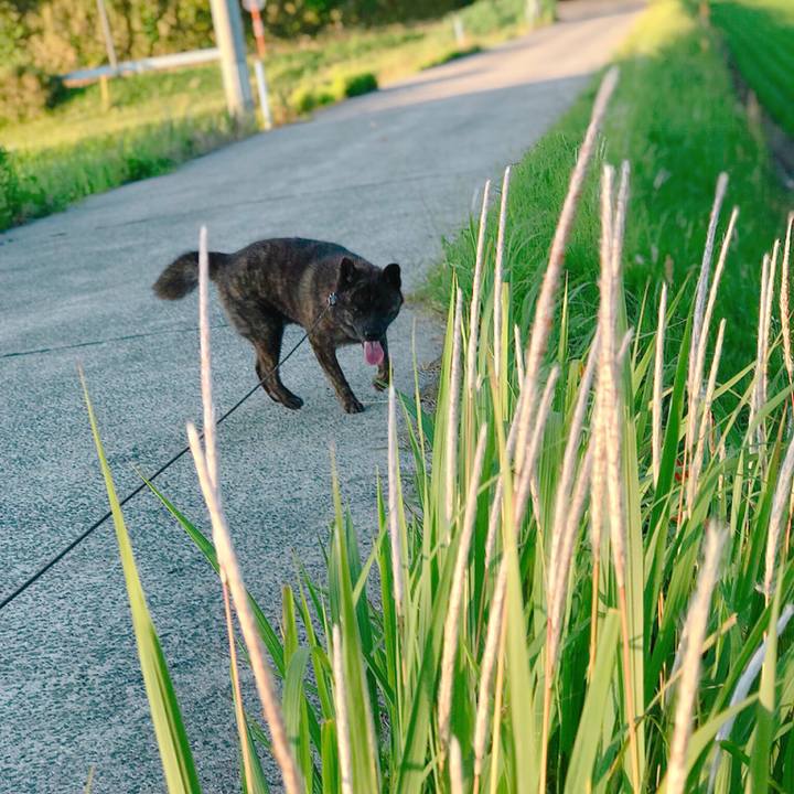 87ac57bd 8119 4365 8c2d 246b1ff27fe3 1528888766970