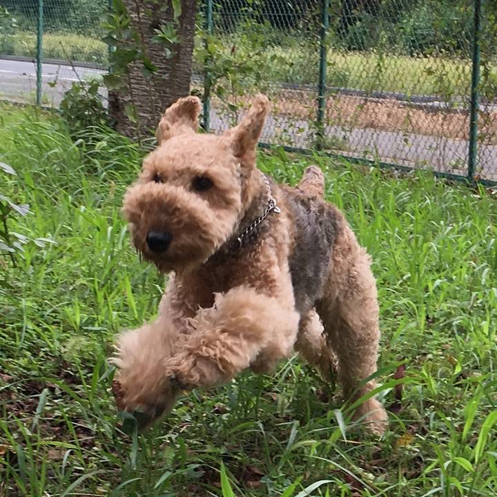 87acc692 48cf 41b3 933c b11c5f18632d 1536322954000