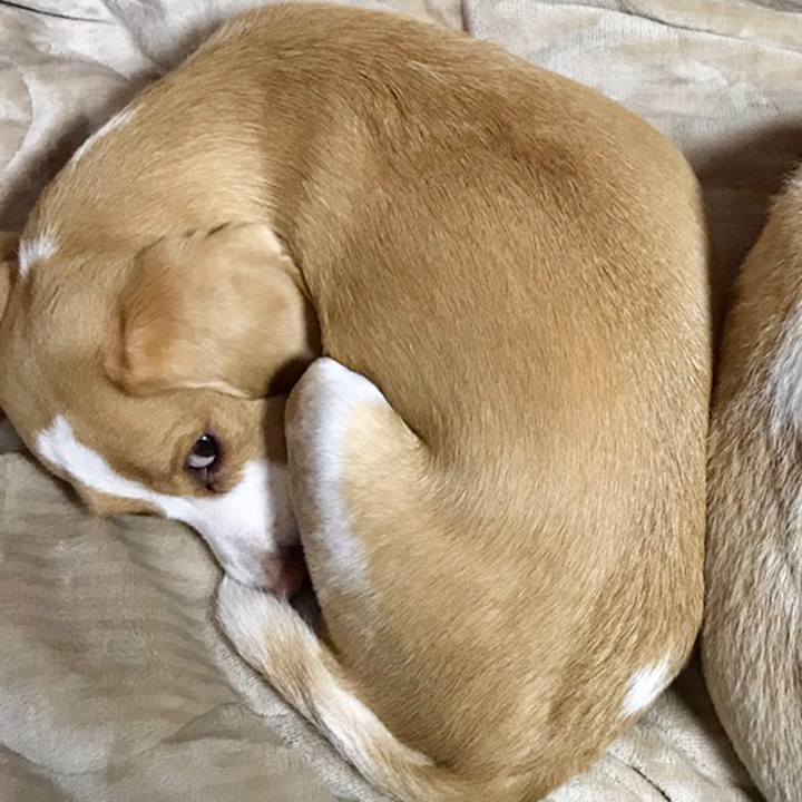 87accdf3 272e 4706 91b3 512bc81b1c3b 1558218624842