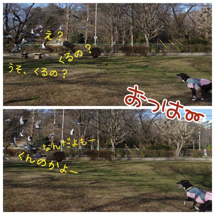 87ace88b 1d15 4ef2 86d8 838e5f2319b8 1710120810990