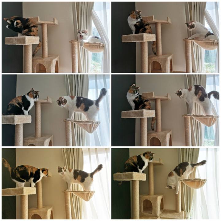 87ad09b7 89a0 4457 9d9a 6198f7ddd04a 1649648346074