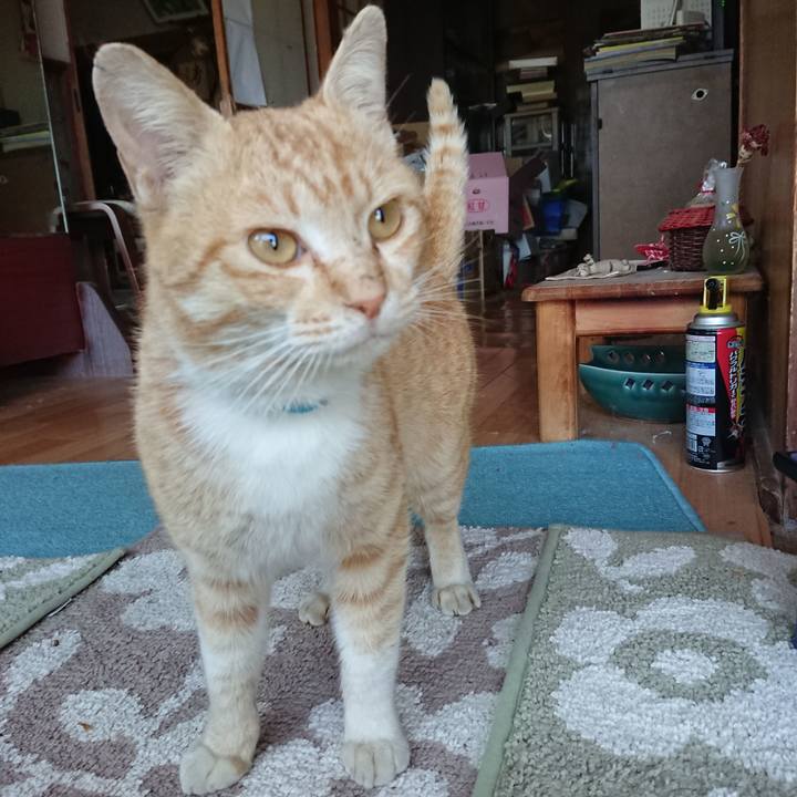 87ad304c 8ca3 44ae 865e c6940f1e6949 1555748266156