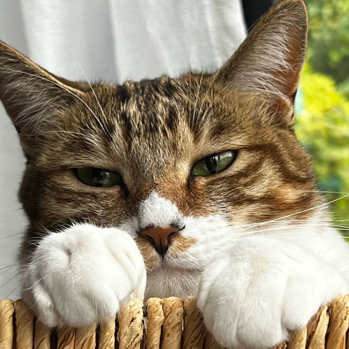 87ad396c 5050 44e7 a3d7 6546b6d29fbe 1759501194439