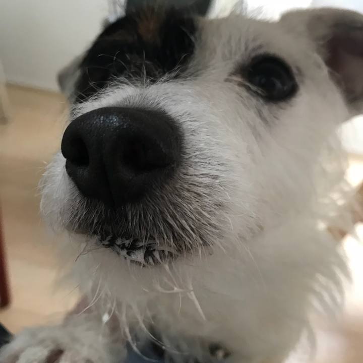 87ad6ab1 146d 4de6 b922 58558d039d09 1521154284557