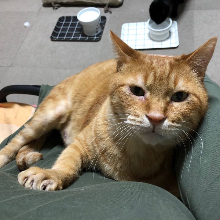 87adaaf7 ccc2 429a b7f2 f47434cea87b 1673351555147