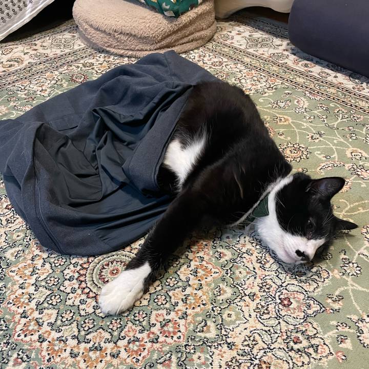 87adec1c 9a82 4f21 9e9b 6a91f573bf60 1745331881829