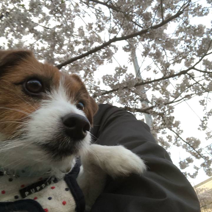 87adf9cc 9fbb 4709 83fe b460c3c40b86 1554412300635