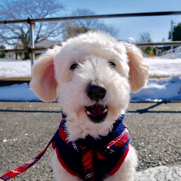 87adfb1c a096 489f b163 0ae35cb160b6 1517116893215