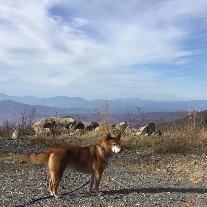 87ae03f7 5ce0 46e7 9b95 edb879280634 1573993961844