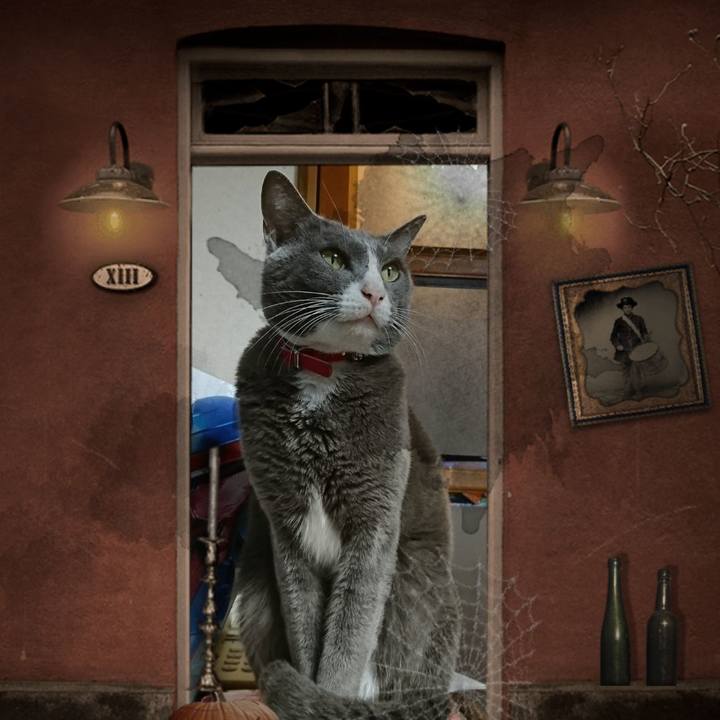 87aeea9a af13 4db9 a4d8 984b8ec1213b 1509408534393