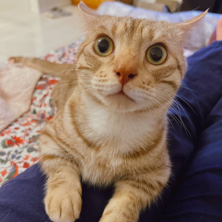 87aef9a8 d6ec 4cc7 9364 4f95753a82a0 1652450908002